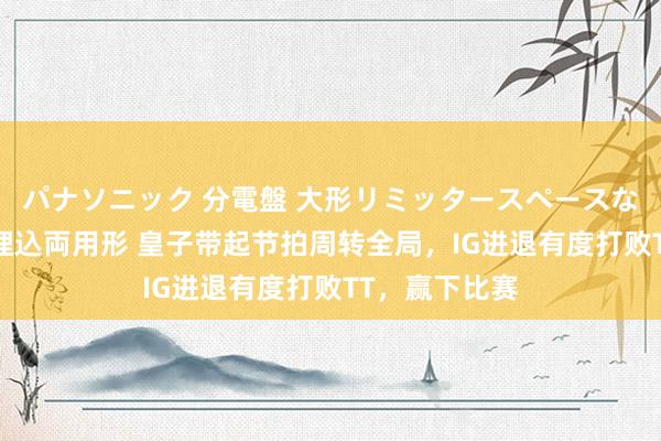 パナソニック 分電盤 大形リミッタースペースなし 露出・半埋込両用形 皇子带起节拍周转全局，IG进退有度打败TT，赢下比赛