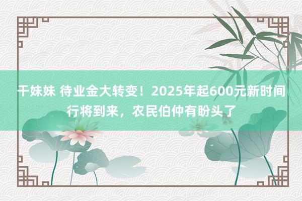 干妹妹 待业金大转变！2025年起600元新时间行将到来，农民伯仲有盼头了
