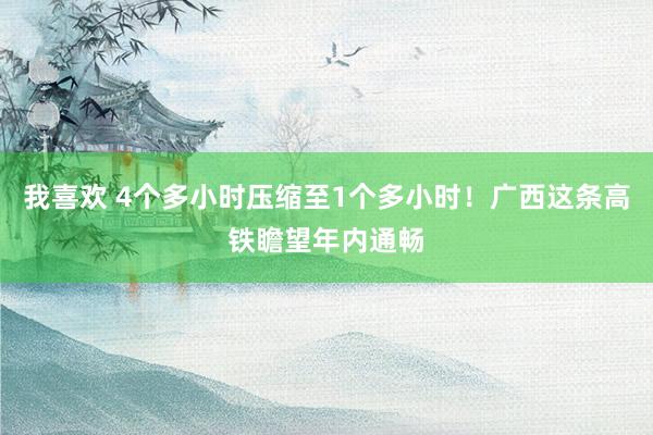 我喜欢 4个多小时压缩至1个多小时！广西这条高铁瞻望年内通畅