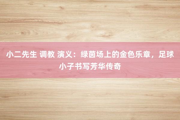小二先生 调教 演义：绿茵场上的金色乐章，足球小子书写芳华传奇