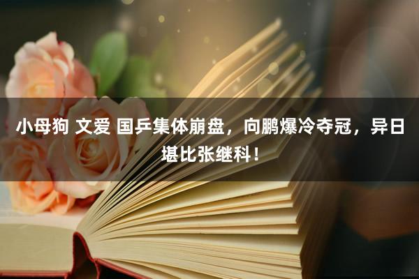 小母狗 文爱 国乒集体崩盘，向鹏爆冷夺冠，异日堪比张继科！