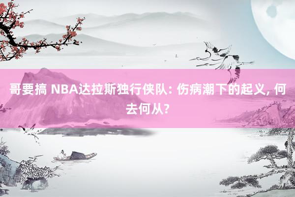 哥要搞 NBA达拉斯独行侠队: 伤病潮下的起义, 何去何从?