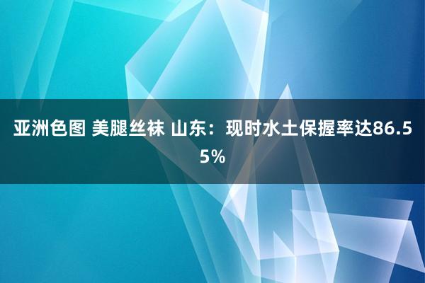 亚洲色图 美腿丝袜 山东：现时水土保握率达86.55%