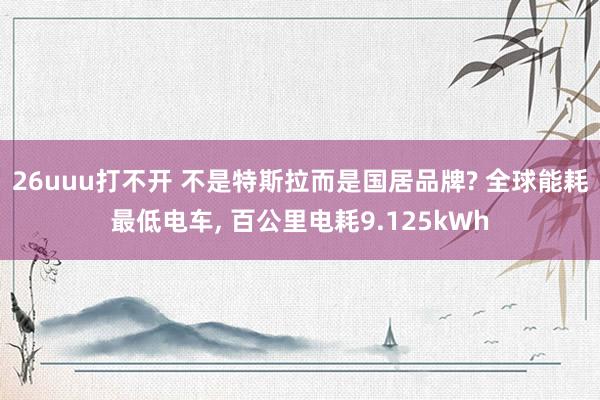 26uuu打不开 不是特斯拉而是国居品牌? 全球能耗最低电车, 百公里电耗9.125kWh