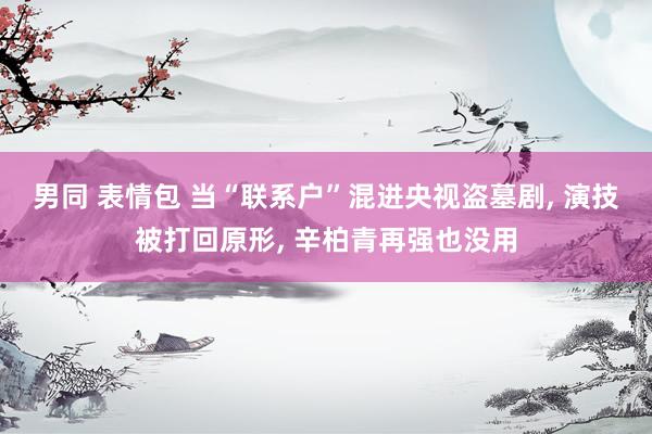 男同 表情包 当“联系户”混进央视盗墓剧, 演技被打回原形, 辛柏青再强也没用