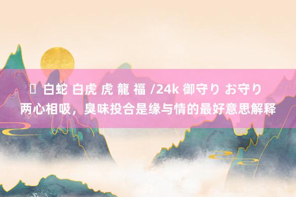 ✨白蛇 白虎 虎 龍 福 /24k 御守り お守り 两心相吸，臭味投合是缘与情的最好意思解释