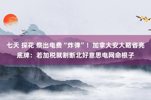 七天 探花 祭出电费“炸弹”！加拿大安大略省亮底牌：若加税就割断北好意思电网命根子