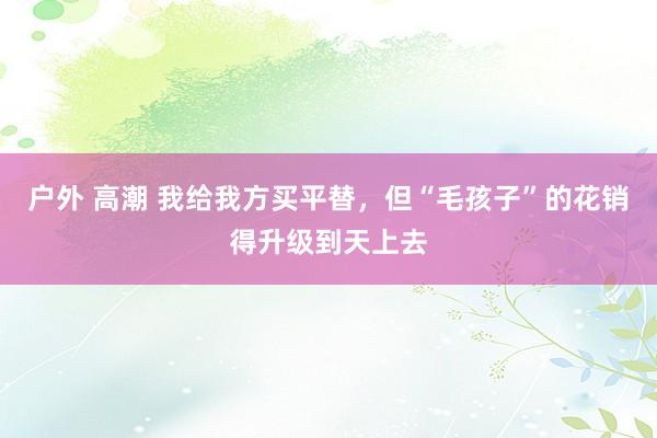 户外 高潮 我给我方买平替，但“毛孩子”的花销得升级到天上去