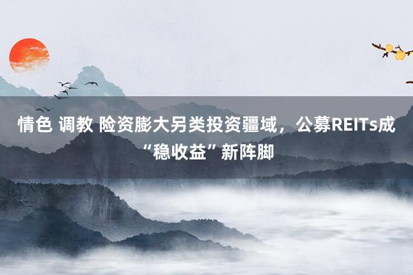 情色 调教 险资膨大另类投资疆域，公募REITs成“稳收益”新阵脚