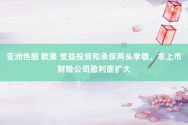 亚洲色图 欧美 受益投资和承保两头孝敬，非上市财险公司盈利面扩大