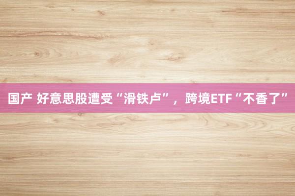 国产 好意思股遭受“滑铁卢”，跨境ETF“不香了”